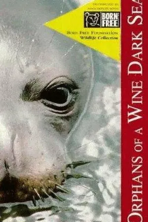 Постер к фильму Orphans of a Wine Dark Sea (1995)