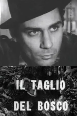 Постер к фильму Лесорубы (1963)
