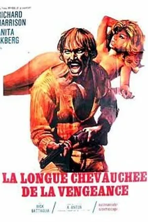 Постер к фильму Долгий путь мести (1972)