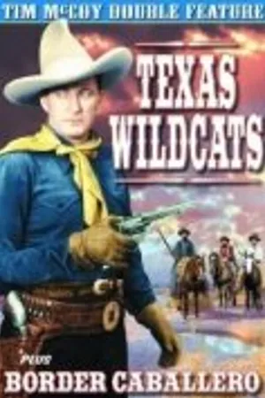 Постер к фильму Texas Wildcats (1939)
