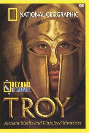 Постер к фильму НГО: Троя (2004)