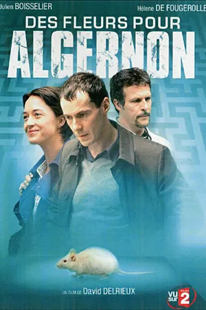 Постер к фильму Цветы для Элджернона (2006)
