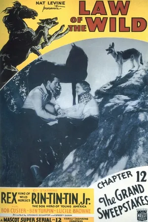 Постер к фильму Закон дикой природы (1934)