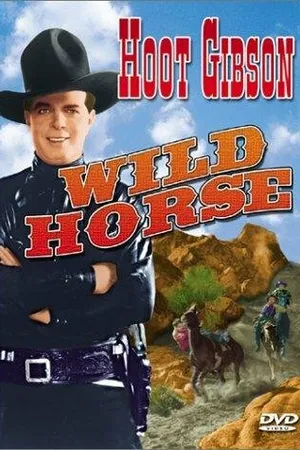 Постер к фильму Wild Horse (1931)