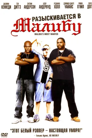 Постер к фильму Разыскиваются в Малибу (2003)