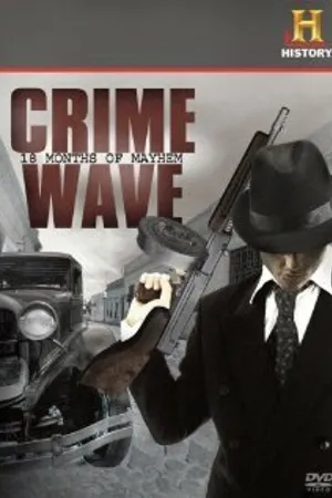 Постер к фильму Crime Wave: 18 Months of Mayhem (2008)