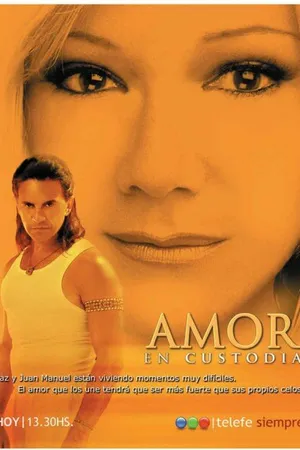 Постер к сериалу Телохранитель (2005 - 2006)