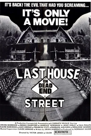 Постер к фильму Последний дом на тупиковой улице (1973)