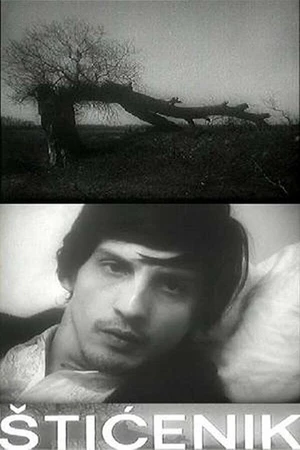 Постер к фильму Подопечный (1973)