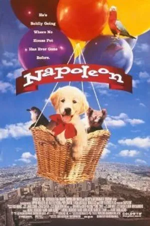 Постер к фильму Наполеон (1995)