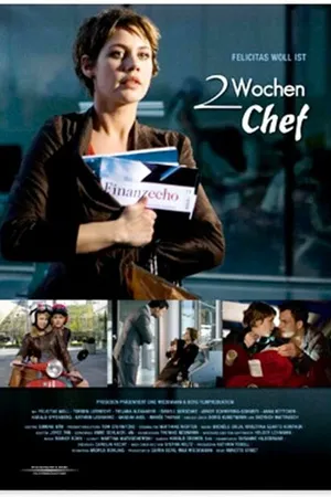 Постер к фильму Две недели шефства (2007)