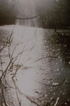 Постер к фильму Report from Millbrook (1966)