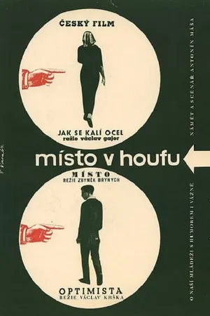 Постер к фильму Место в толпе (1963)