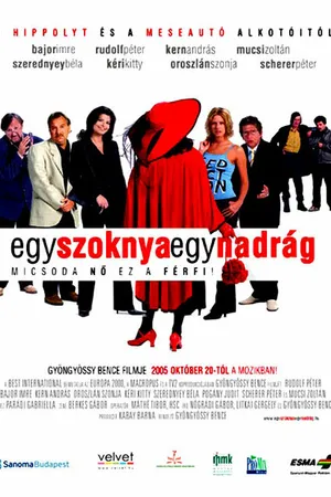 Постер к фильму Одна юбка, одни брюки (2005)