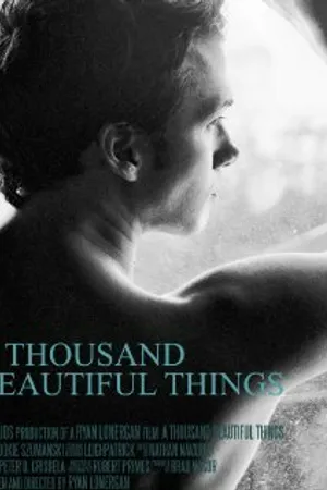 Постер к фильму A Thousand Beautiful Things (2005)