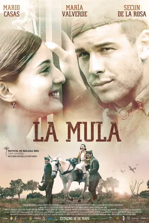 Постер к фильму Мул (2013)