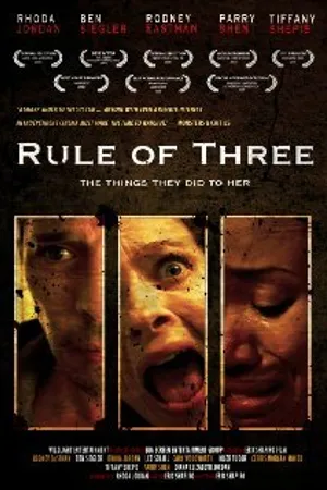 Постер к фильму Правило трёх (2008)