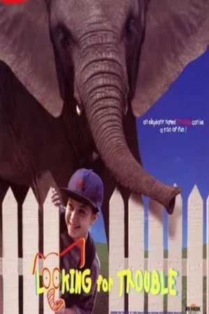 Постер к фильму Looking for Trouble (1996)