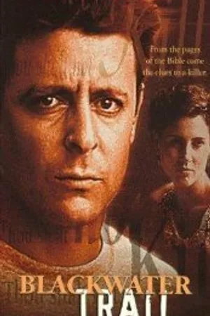 Постер к фильму Концы в воду (1995)