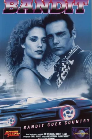 Постер к фильму Бандит едет в глубинку (1994)