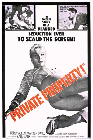 Постер к фильму Частная собственность (1960)