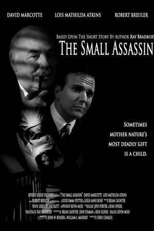 Постер к фильму The Small Assassin (2011)