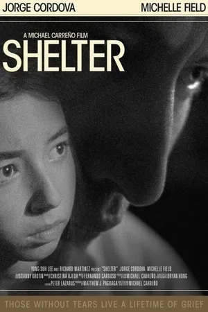 Постер к фильму Shelter (2007)