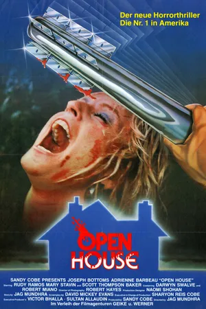 Постер к фильму Открытый дом (1987)