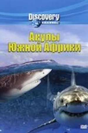 Постер к фильму Discovery: Акулы Южной Африки (2001)