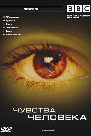 Постер к сериалу BBC: Чувства человека (2003)