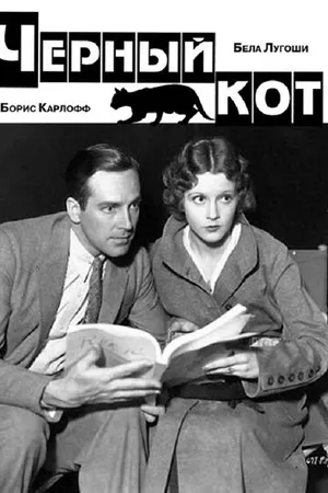 Постер к фильму Черный кот (1934)