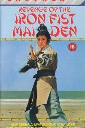 Постер к фильму Gai shi quan (1972)