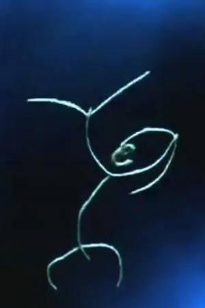 Постер к мультфильму Materia (1963)
