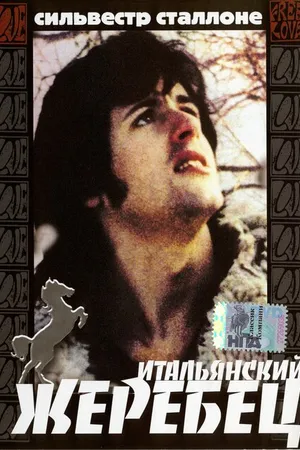 Постер к фильму Итальянский жеребец (1970)