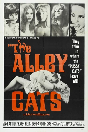 Постер к фильму Аллея кошек (1966)
