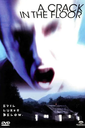 Постер к фильму Трещина в полу (2001)