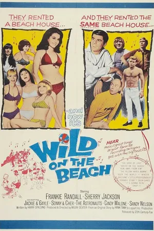 Постер к фильму Wild on the Beach (1965)