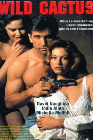 Постер к фильму Дикий кактус (1993)