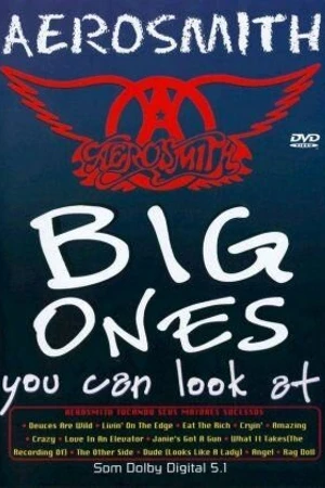 Постер к фильму Aerosmith: Такого Вы еще не видели (1994)