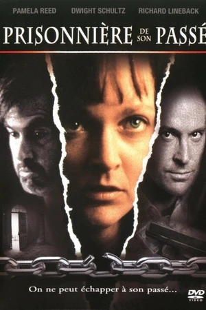Постер к фильму Женщина с прошлым (1992)