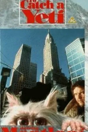 Постер к фильму Поймать йети (1995)