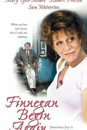 Постер к фильму Финнеган начинает вновь (1985)