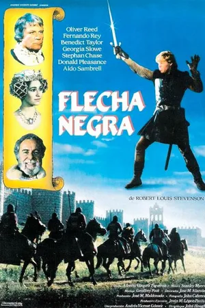 Постер к фильму Черная стрела (1985)