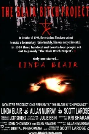 Постер к фильму The Blair Bitch Project (2000)