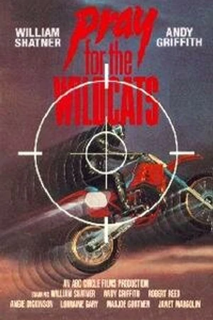 Постер к фильму Молитесь за Диких кошек (1974)