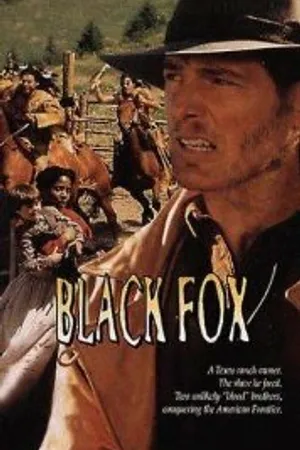 Постер к фильму Чёрный лис (1995)