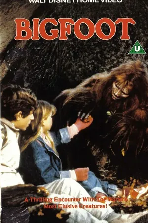 Постер к фильму Снежный человек (1987)