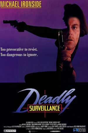 Постер к фильму Смертельная слежка (1991)