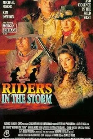 Постер к фильму Riders in the Storm (1995)