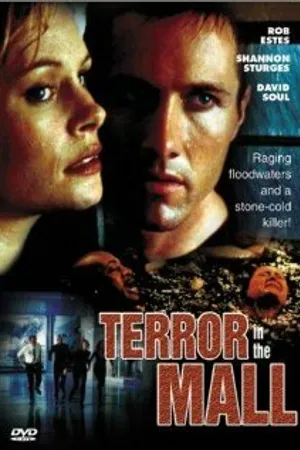 Постер к фильму Темный дождь (1998)